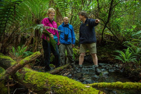 Bruny Island Traveller - Gourmet Tasting And Sightseeing Day Trip From Hobart - Foster Accommodation 1