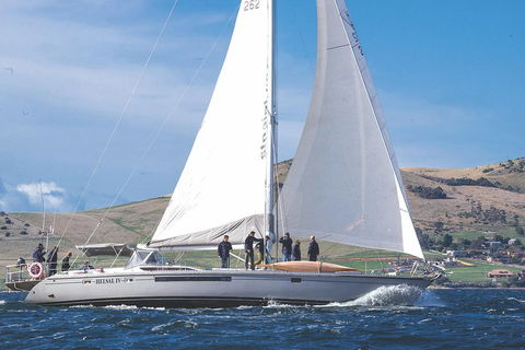 Half-Day Sailing On The Derwent River From Hobart - Foster Accommodation 1