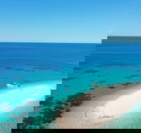 Ocean Safari Great Barrier Reef Experience in Cape Tribulation - Foster Accommodation