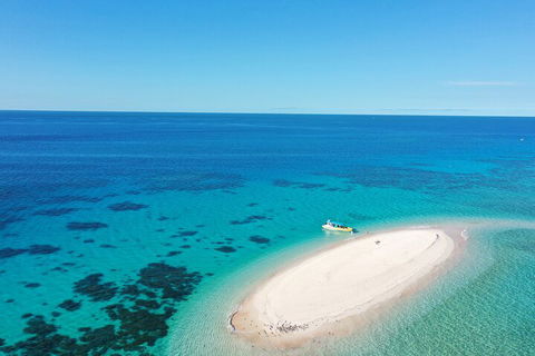 Ocean Safari Great Barrier Reef Experience In Cape Tribulation - Foster Accommodation 0