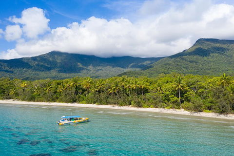 Ocean Safari Great Barrier Reef Experience In Cape Tribulation - Foster Accommodation 2