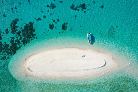 Ocean Safari Great Barrier Reef Experience In Cape Tribulation - Foster Accommodation 3