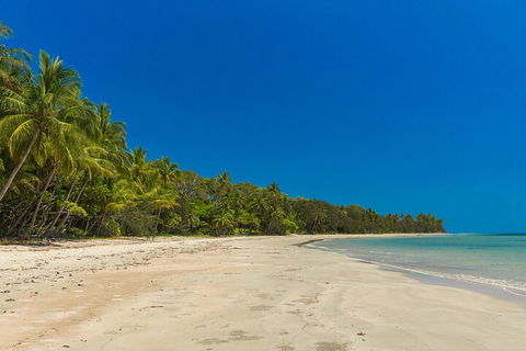 Ocean Safari Great Barrier Reef Experience In Cape Tribulation - Foster Accommodation 4