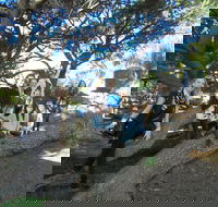 1/2 day Swan Valley Wine Cheese  Chocolate Tour Inc Afternoon Cruise to Perth - Foster Accommodation