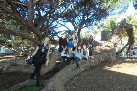 1/2 Day Swan Valley Wine Cheese & Chocolate Tour Inc Afternoon Cruise To Perth - Foster Accommodation 0