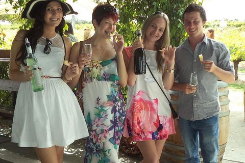 1/2 Day Swan Valley Wine Cheese & Chocolate Tour Inc Afternoon Cruise To Perth - Foster Accommodation 4