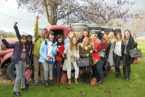 1/2 Day Swan Valley Wine Cheese & Chocolate Tour Inc Afternoon Cruise To Perth - Foster Accommodation 5