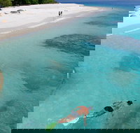 Fitzroy Island Day Trip from Cairns - Foster Accommodation