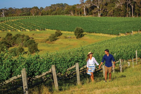 10 Day Perth To Adelaide Private Tour - The Great Australian Wilderness Journey - Foster Accommodation 0