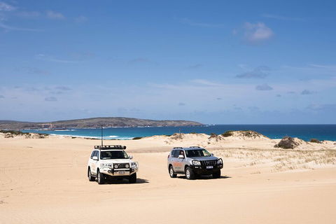 3 Day Port Lincoln And Coffin Bay Private Tour - Foster Accommodation 0