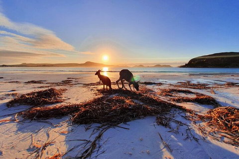 10-Day Perth To Adelaide Adventure Tour - Foster Accommodation 1