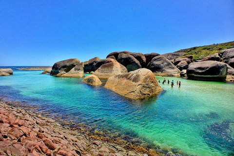 10-Day Perth To Adelaide Adventure Tour - Foster Accommodation 5