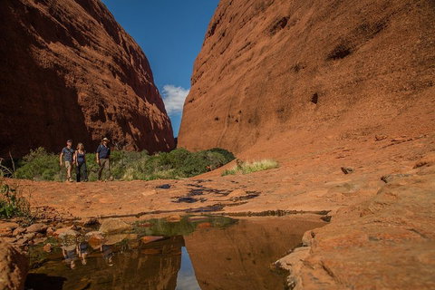 4 Day/3 Night Perentie Dreaming Safari - Foster Accommodation 3