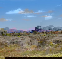 Overnight Uluru Ayers Rock Small-Group Camping Tour - Foster Accommodation