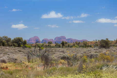 Overnight Uluru (Ayers Rock) Small-Group Camping Tour - Foster Accommodation 0