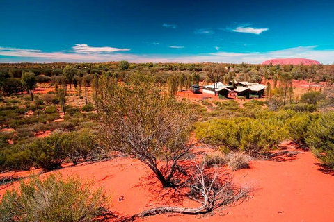 Overnight Uluru (Ayers Rock) Small-Group Camping Tour - Foster Accommodation 2