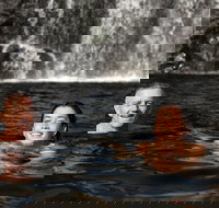 3 Day 4WD Dragonfly Dreaming Top End Safari - Foster Accommodation