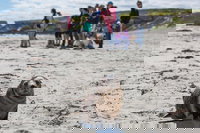 Book Viator Accommodation Vacations Foster Accommodation Foster Accommodation