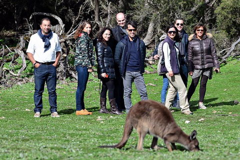 2-Day Kangaroo Island 4WD Small-Group Tour From Adelaide - Foster Accommodation 1