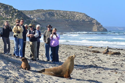 2-Day Kangaroo Island 4WD Small-Group Tour From Adelaide - Foster Accommodation 3