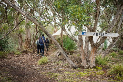 2-Day Kangaroo Island 4WD Small-Group Tour From Adelaide - Foster Accommodation 5