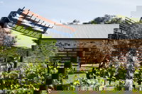 Adelaide City Highlights Tour