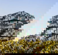Small Group McLaren Vale and The Cube Experience - Foster Accommodation