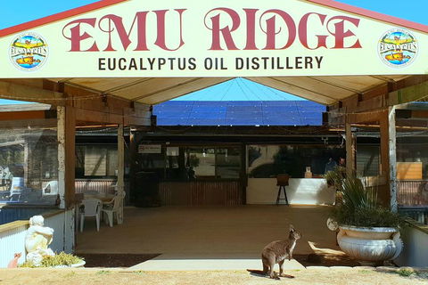 2 Day Ultimate Kangaroo Island With Return Ferry - Foster Accommodation 3