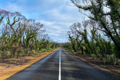2 Day Ultimate Kangaroo Island With Return Ferry - Foster Accommodation 4