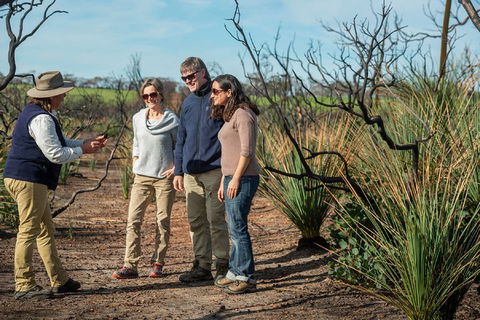 NEW TOUR - Kangaroo Island Road To Recovery Tour (1 Day/1 Night) - Foster Accommodation 4