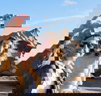 Full-Day Kangaroo Island Experience Departing from Kangaroo Island - Foster Accommodation