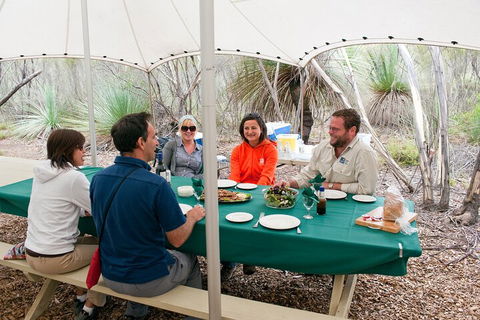 Full Day Seal Bay Experience Departing From Kangaroo Island - Foster Accommodation 1