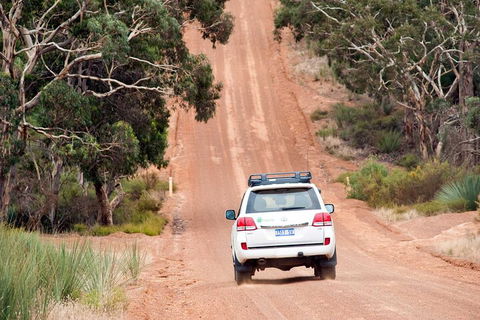 Full Day Seal Bay Experience Departing From Kangaroo Island - Foster Accommodation 2