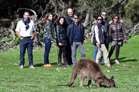 Full Day Seal Bay Experience Departing From Kangaroo Island - Foster Accommodation 3