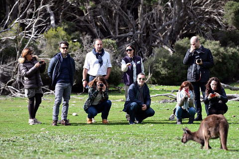 Small-Group Kangaroo Island 4WD Tour From Adelaide - Foster Accommodation 2