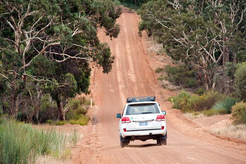 Small-Group Kangaroo Island 4WD Tour From Adelaide - Foster Accommodation 3
