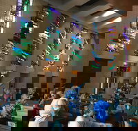 Cairns Shore Excursion Cairns City Sights  Surrounds Tour - Foster Accommodation