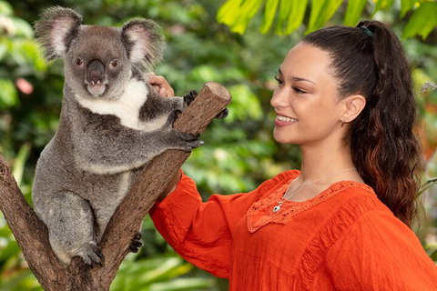 Kuranda Wildlife Experience Three Attraction Pass - Foster Accommodation 4