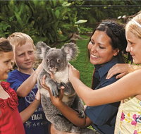 Kuranda Koala Gardens General Entry Ticket - Foster Accommodation