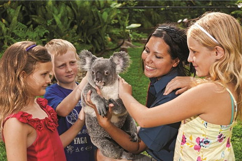 Kuranda Koala Gardens General Entry Ticket - Foster Accommodation 0
