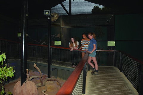 Kuranda Koala Gardens General Entry Ticket - Foster Accommodation 2