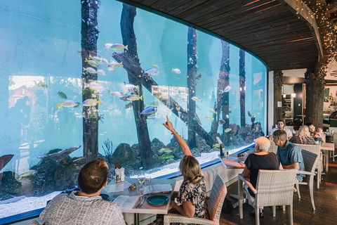Cairns Aquarium Tour By Twilight With Drink And Appetiser - Foster Accommodation 3