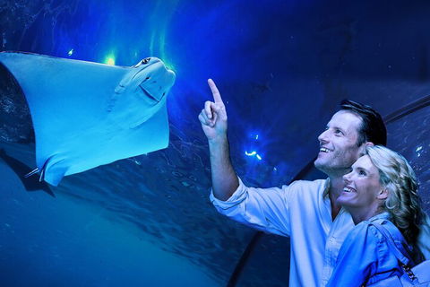 Cairns Aquarium Tour By Twilight With Drink And Appetiser - Foster Accommodation 4