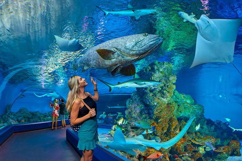 Cairns Aquarium Admission Ticket - Foster Accommodation 3