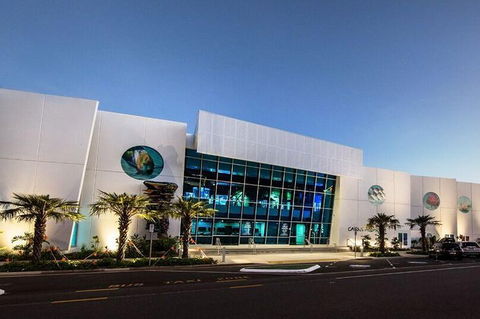 Cairns Aquarium Admission Ticket - Foster Accommodation 4