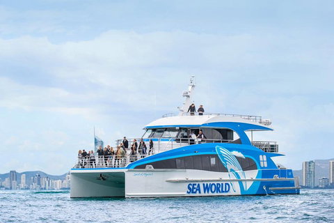 Whale Watching By Sea World Cruises - Foster Accommodation 3