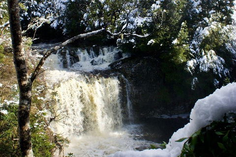 Cradle Mountain Day Tour From Launceston Including Lunch - Foster Accommodation 0