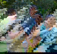 Small-Group Australia Zoo Day Trip from Brisbane - Foster Accommodation