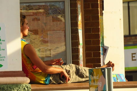 Beyond Byron Hinterland Tour - Foster Accommodation 4