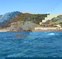 Kayaking with Dolphins in Byron Bay Guided Tour - Foster Accommodation